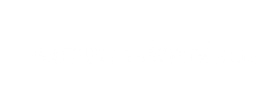 logo 9